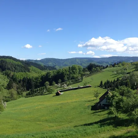 Hoehenhotel & Restaurant Kalikutt Szálloda Oppenau