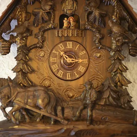 Hoehenhotel & Restaurant Kalikutt 3* Oppenau