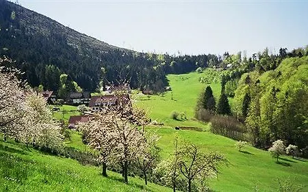 Hoehenhotel & Restaurant Kalikutt Oppenau